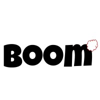 Boom Companies