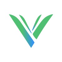 Visión y Valor Consulting