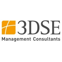 3DSE Management Consultants