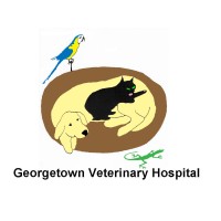 Georgetown Veterinary Hospital