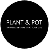 Plant & Pot Studio