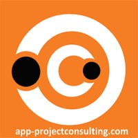 APP Consultoría - Powering Project Success & Digital Enablement