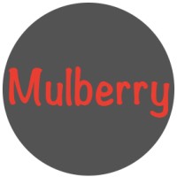 Mulberry Technology (Shenzhen)