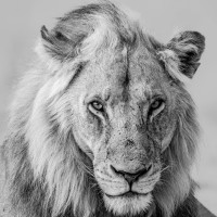 Nitin Madhav Photography