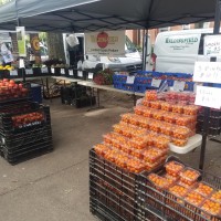 Waldingfield Farm, Inc