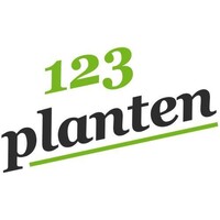 123kamerplanten
