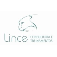 Lince Consultoria E Treinamentos Ltda