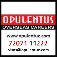 Opulentus - The Visa Company