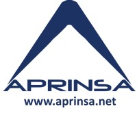 Abastecedor Principal Nacional De Cv