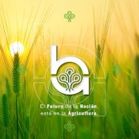 Banco Agrícola de Venezuela