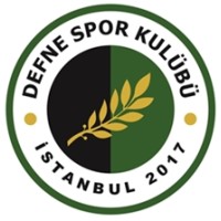 İstanbul Defne Spor Kulübü