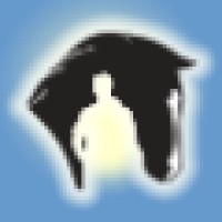 Horses Know The Way Home