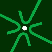 American Academy of Neurology