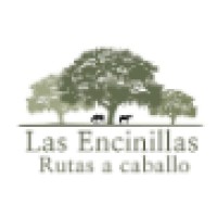 The Holly Oak Horse Treks