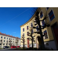 Norsk Språkservice | Oversetter- og translatørbyrå