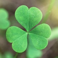 DIRECT Teacher Recruitment Specialists