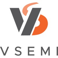 Visionary Semiconductor