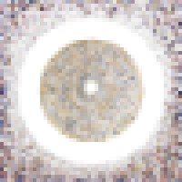 Human Connection Institute