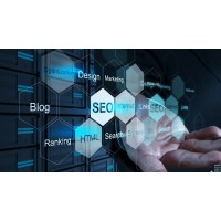 Web Developer / SEO Expert / WordPress