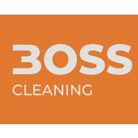 Boss Cleaning