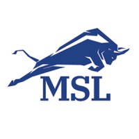 Law Offices of Michael S. Lamonsoff