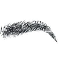 Immaculate Brows