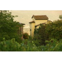 Casanuova Locanda & Fattoria