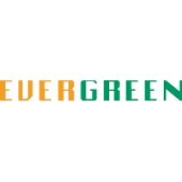 Evergreen Fibreboard (EVF)