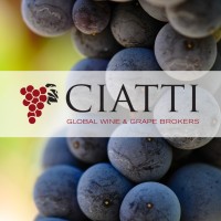 CIATTI Company