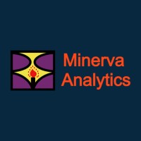 Minerva Analytics Inc