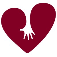 Attachment & Trauma Network