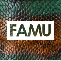 Florida Agricultural and Mechanical University