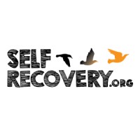 Self Recovery: The Online Addiction Recovery Program