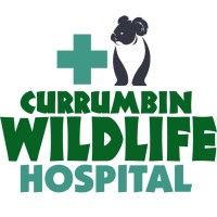 Currumbin Wildlife Hospital