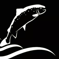 Catch of Norway Seafood