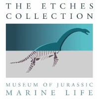 The Etches Collection
