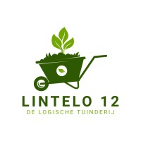 Lintelo 12