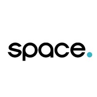 Space Engineering Services logo